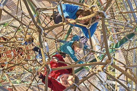 Waldwipfelweg Klettern im Waldturm