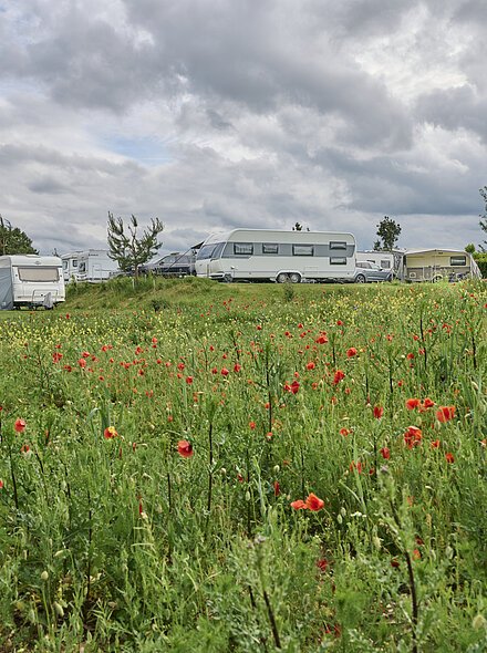 Campingplatz Freizeitinsel