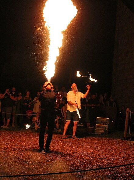 Heinrichsfest Bad Abbach