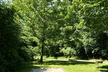 Spielplatz Erich-Ollenhauer-Straße