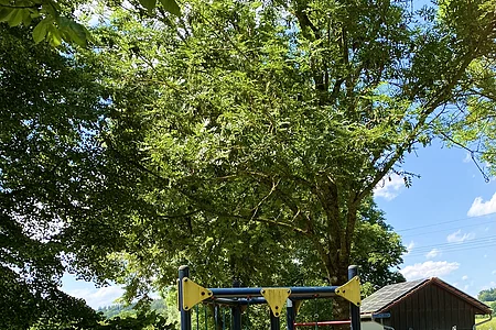 Spielplatz Untere Dorfstraße