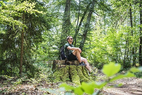 Entspannung im Wald