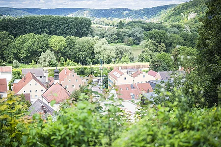 Bad Abbach von oben