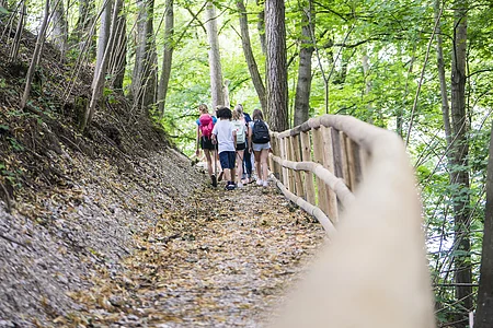 Weg zum Burgberg