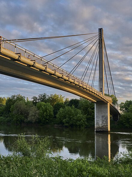 Fußgänger- und Fahrradbrücke über die Donau