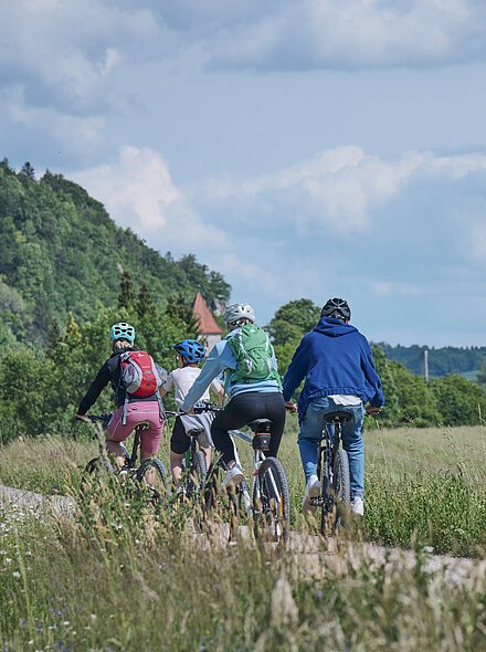 Rückansicht Familie beim Radfahren auf dem Donauradweg